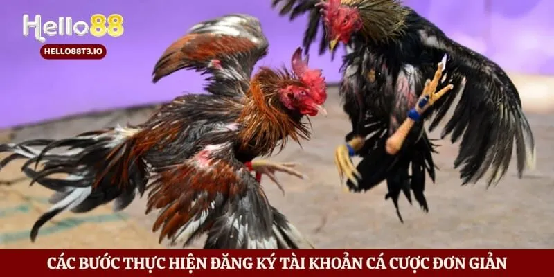 Các bước thực hiện đăng ký tài khoản cá cược đơn giản