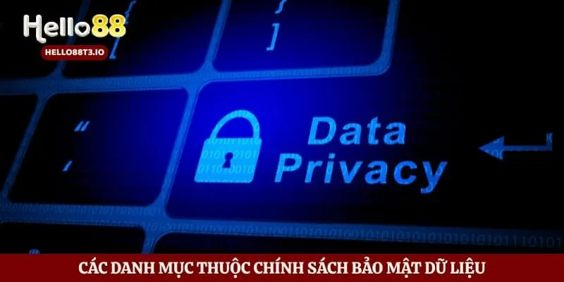 Các danh mục thuộc chính sách bảo mật dữ liệu