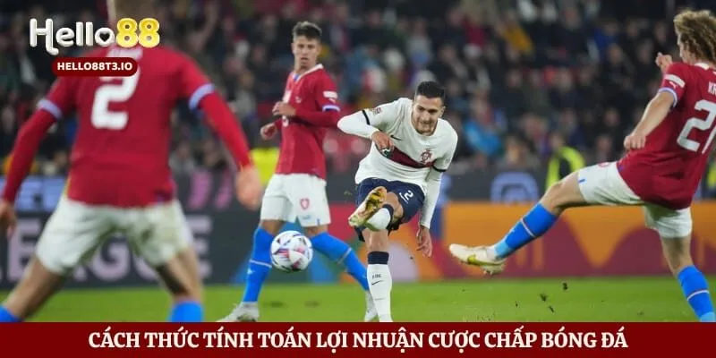 Kèo Châu Á - Cách Thức Hạ Gục Mọi Bảng Tỷ Lệ Cá Cược Bóng Đá Hình số 4 Cách thức tính toán lợi nhuận cược chấp bóng đá