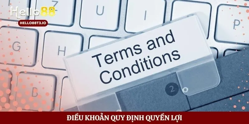 Điều khoản quy định quyền lợi 