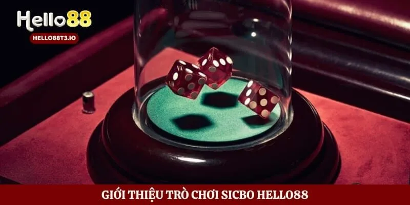 Giới thiệu trò chơi Sicbo Hello88