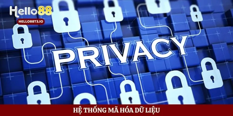 Hệ thống mã hóa dữ liệu