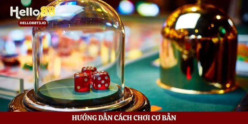 Hướng dẫn cách chơi cơ bản