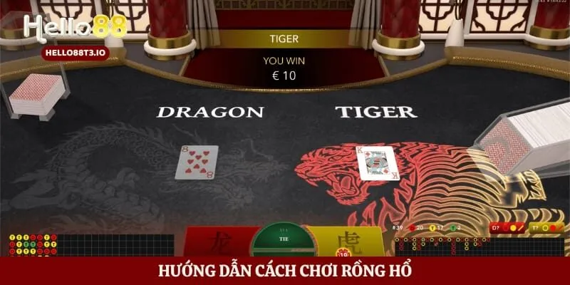 Hướng dẫn cách chơi rồng hổ