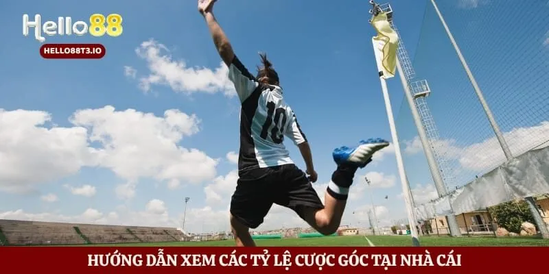 Hướng dẫn xem các tỷ lệ cược góc tại nhà cái