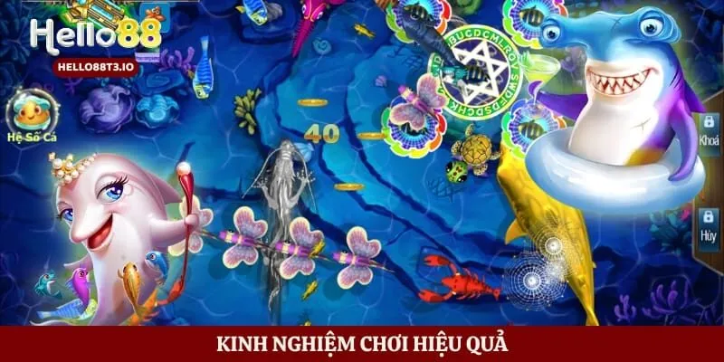 Kinh nghiệm chơi hiệu quả