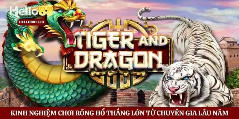 Kinh nghiệm chơi rồng hổ thắng lớn từ chuyên gia lâu năm
