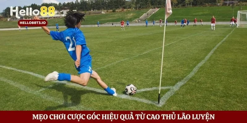 Mẹo chơi cược góc hiệu quả từ cao thủ lão luyện