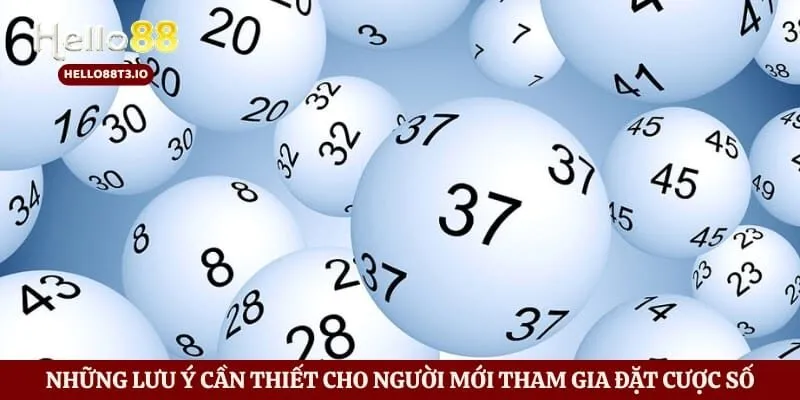 Những lưu ý cần thiết cho người mới tham gia đặt cược số