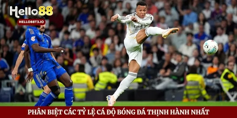 Kèo Malaysia - Tuyệt Chiêu Gom Tiền Thưởng Từ Sảnh Thể Thao Hình số 5 Phân biệt các tỷ lệ cá độ bóng đá thịnh hành nhất