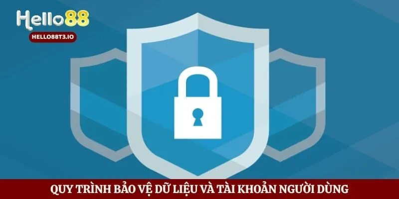 Quy trình bảo vệ dữ liệu và tài khoản người dùng