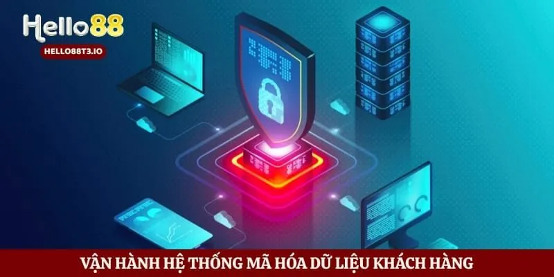 Vận hành hệ thống mã hóa dữ liệu khách hàng 